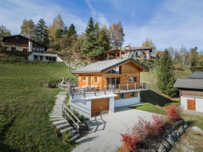 Chalet Amerhone - Luxury chalet With Jacuzzi